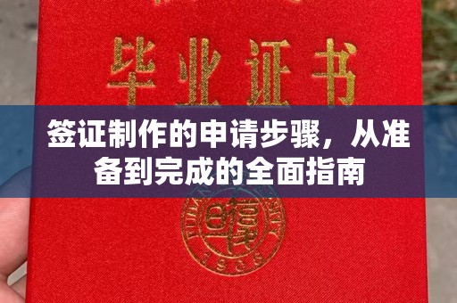 榆阳签证制作的申请步骤，从准备到完成的全面指南