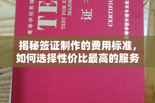 榆阳揭秘签证制作的费用标准，如何选择性价比最高的服务？